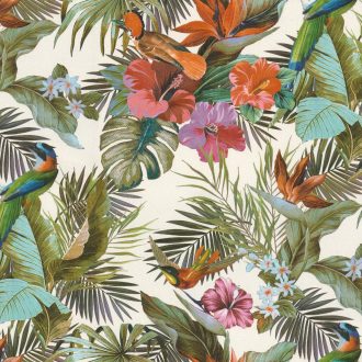   Elegáns,  trópusi mintás tapéta színes egzotikus madarakkal, virágokkal