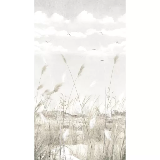 Prémium pampafű tapéta – minimalista természetes faldekor bézs árnyalatokkal 159x280cm