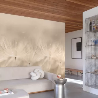   Prémium pitypang tapéta – elegáns, légies faldekor bézs árnyalatokkal 159x280cm