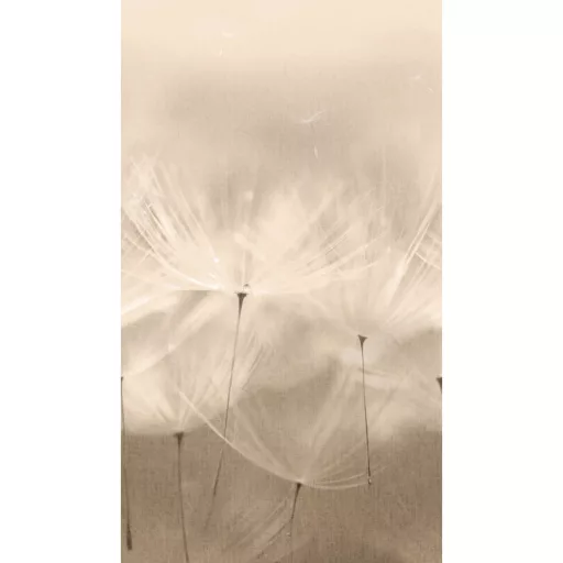 Prémium pitypang tapéta – elegáns, légies faldekor bézs árnyalatokkal 159x280cm