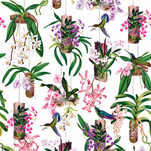 Látványos, egzotikus hangulatú ,színes  trópusi orchidea és kolibri poszter 1,59x 2,70m
