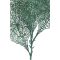 Zöld színű dekor ág 