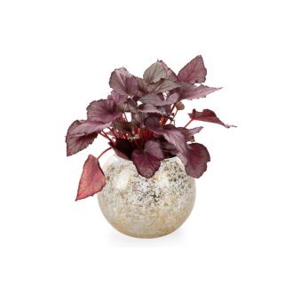 Arany színű üveg gömb gyertyatartó