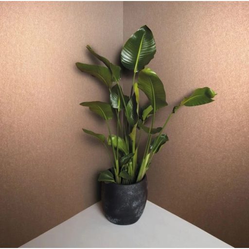 Exkluzív  barack színű homogén csillogó tapéta 10mx0.7m