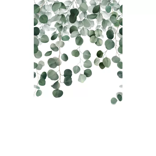 Eukaliptusz levél design panel 