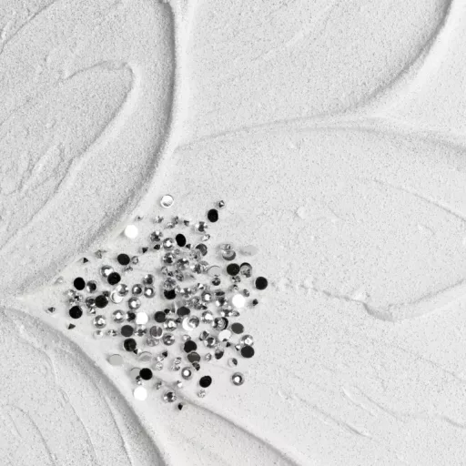 Prémium fehér virágos falikép finom 3D textúrával 90x60cm