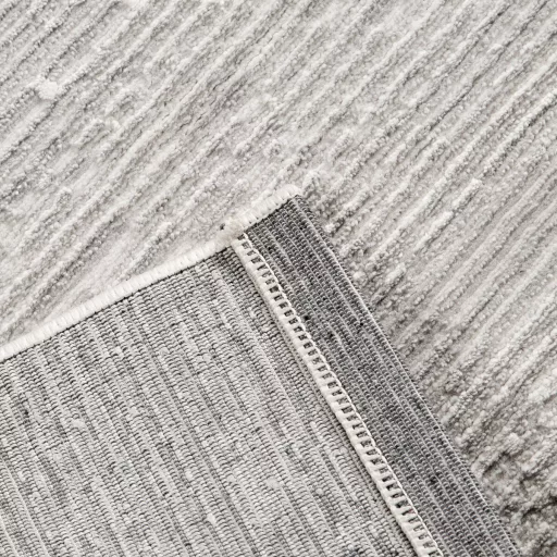Elegáns fehér-világosszürke szőnyeg finom texturált mintával, texturált minimalista designer szőnyeg  , 16900-52900Ft- ig 