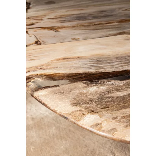 Excusive design asztal megkövesedett fa asztallappal