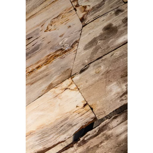 Excusive design asztal megkövesedett fa asztallappal