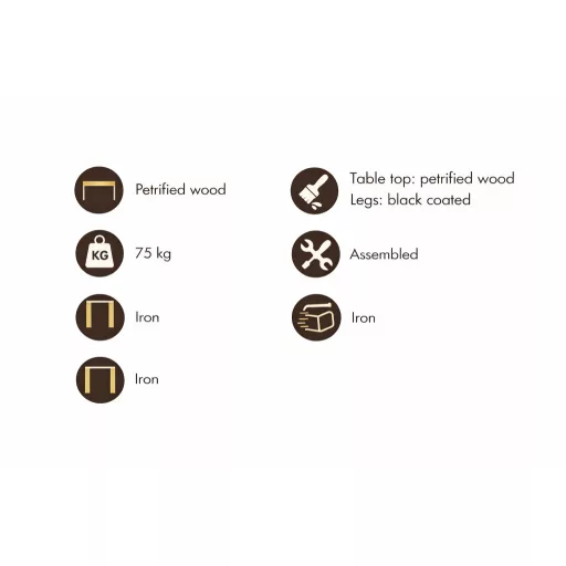 Excusive design asztal megkövesedett fa asztallappal