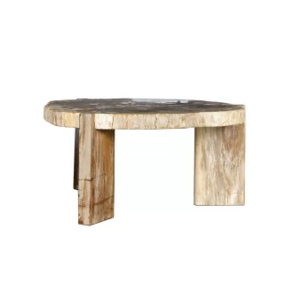 Excusive design asztal megkövesedett fa asztallappal