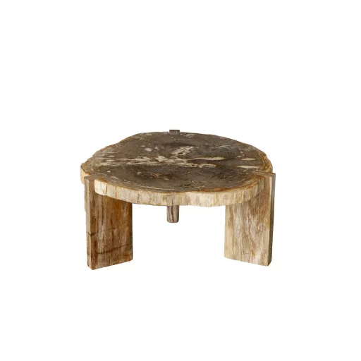 Excusive design asztal megkövesedett fa asztallappal