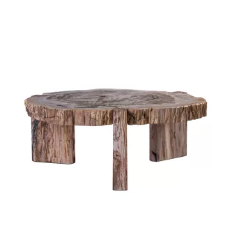 Excusive design asztal megkövesedett fa asztallappal