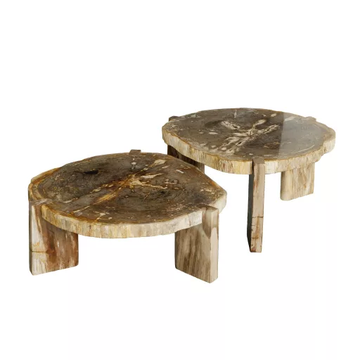 Excusive design asztal megkövesedett fa asztallappal